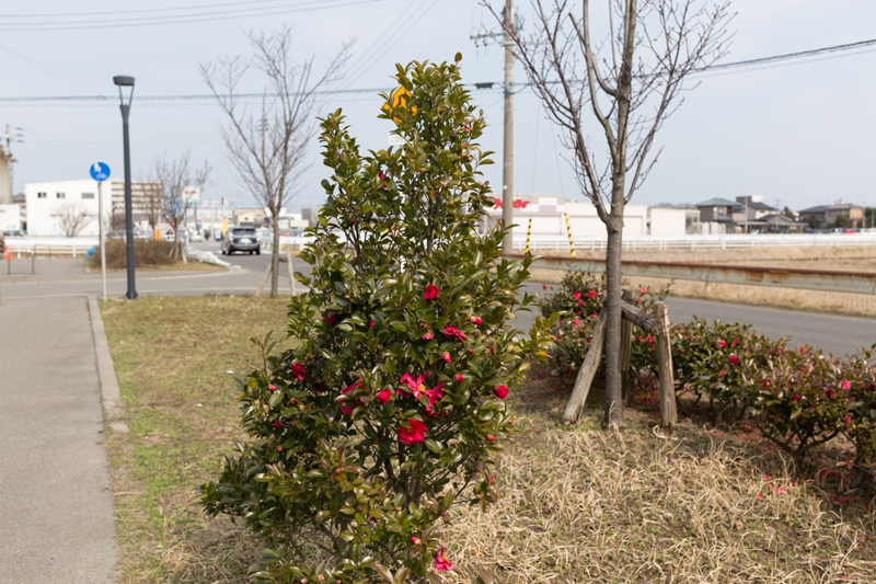 20140301-_MG_6164.jpg