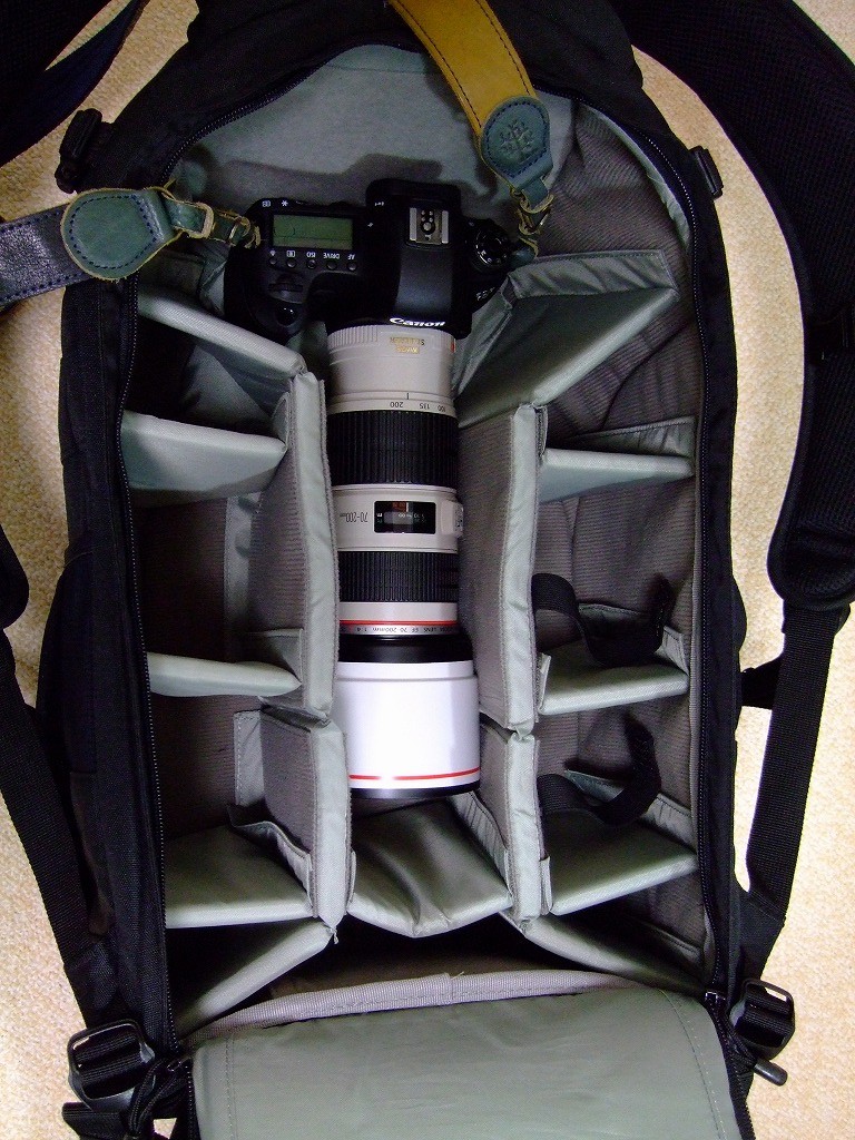 DSCF9700.jpg