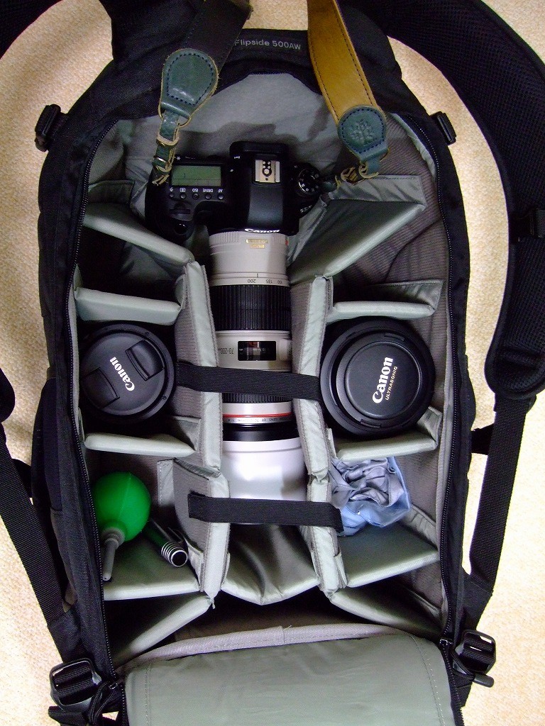 DSCF9701.jpg