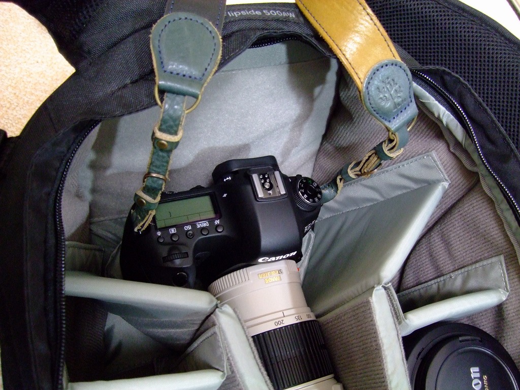 DSCF9702.jpg