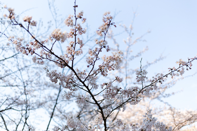 20140412-_MG_6645.jpg