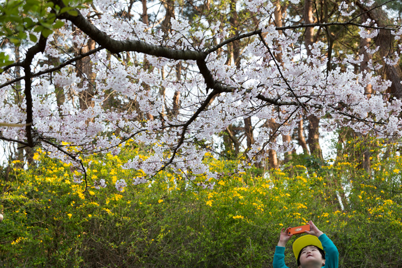 20140412-_MG_6666.jpg