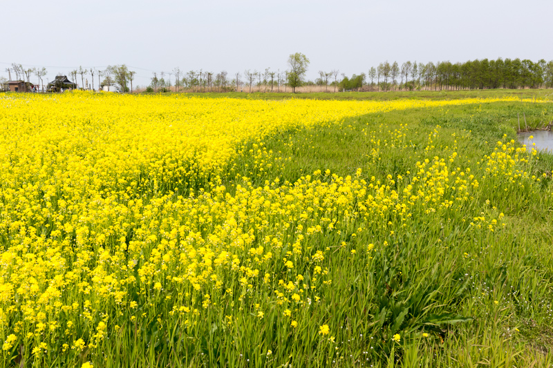 20140427-_MG_6833.jpg