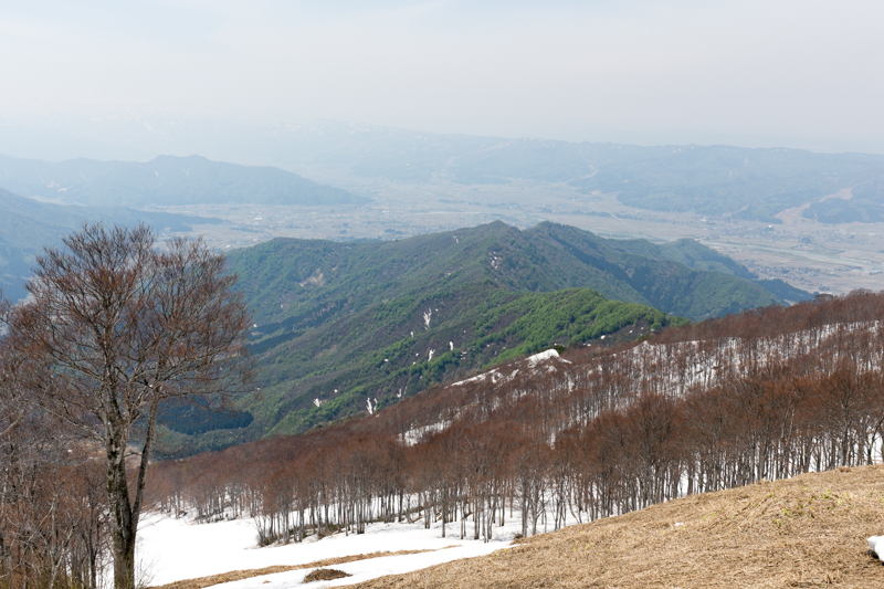 20140504-_MG_6906.jpg