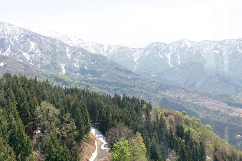 20140504-_MG_6977.jpg