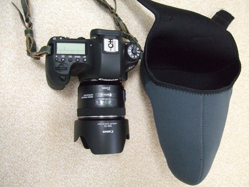 DSCF9893.jpg