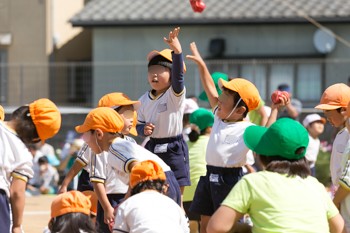 20140921-_MG_7977.jpg