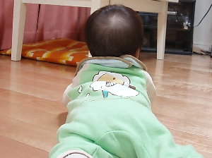 テレビに釘づけ♪