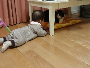 気になるく〜りんに接近☆