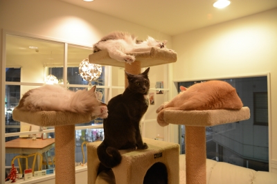 DSC_1077.JPG
