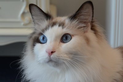 DSC_3319.JPG