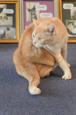 DSC_3469.JPG