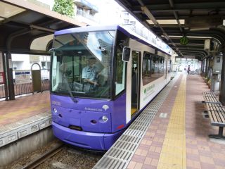 青紫の8806