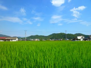 香登駅から歩きます