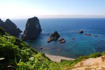 目の前に広がる海岸