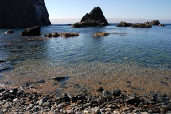 海岸まで下りることができます