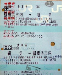 頑張ってくれた切符たち