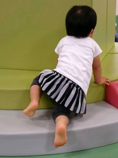 どんなところもよじ登る!