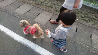 初!犬の散歩
