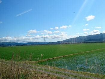 石巻線の車窓