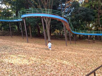 頂上を目指して登る