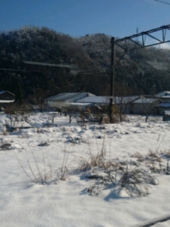 今庄は雪が多い