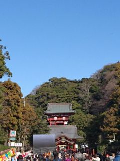 鶴岡八幡宮で御札入手