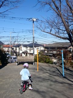 今日も朝から公園