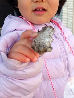 うちの前には霜柱がいっぱい