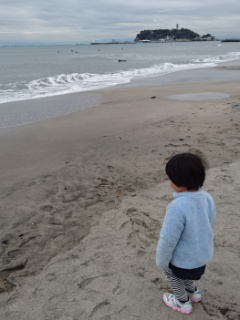 江ノ島を臨む海岸
