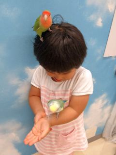 ふれあい動物園