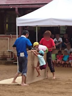 塀上りがんばれ!