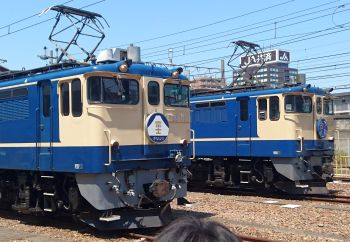 EF65国鉄色の並び