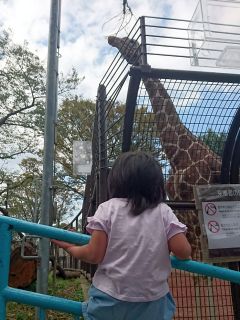 野毛山動物園へ