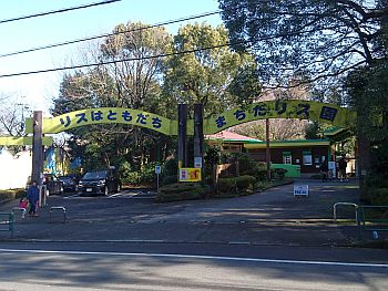 町田リス園