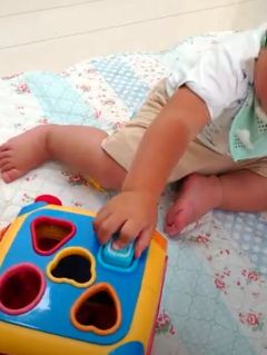 デカい1歳半