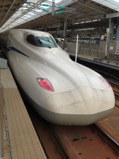 今度の新しい顔