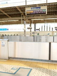 本日はのぞみ1号