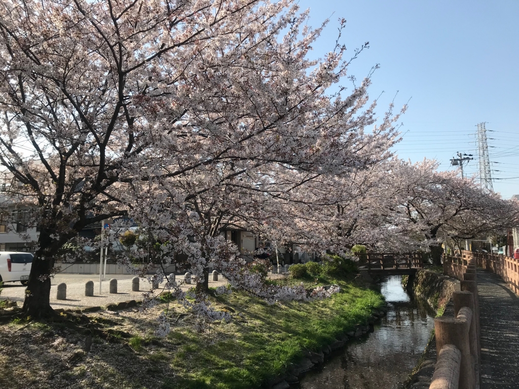 image1.jpeg