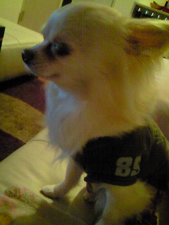 201004252327000.jpg