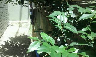 rps20120827_101011_233.jpg