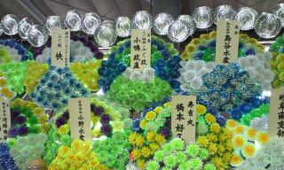 rps20121128_185437_821.jpg