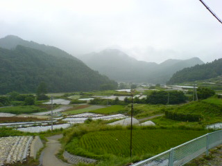 20050809_1043.jpg