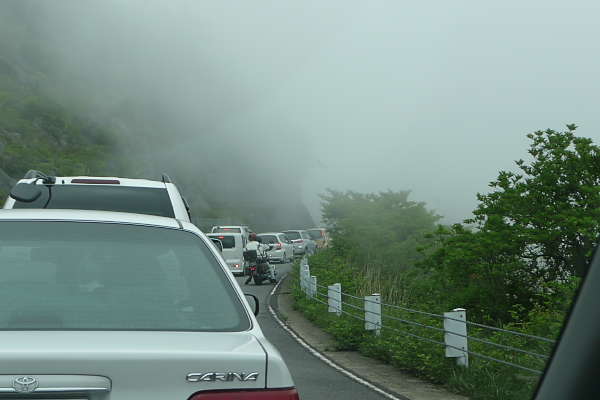 仁田循環道路
