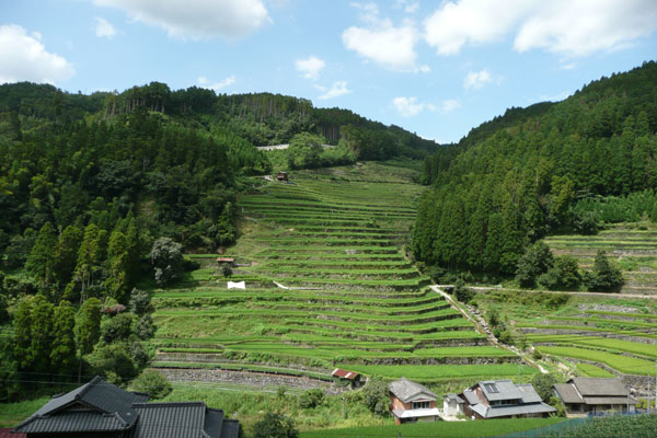 広内・上原の棚田