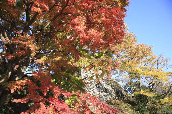 岡城址