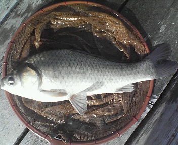 20070528_192913.jpg