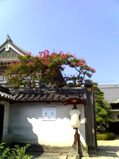 09-09-07_1003.jpg