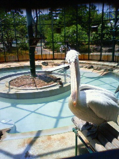 200906201152000.jpg