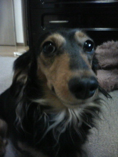 200705070935001.jpg